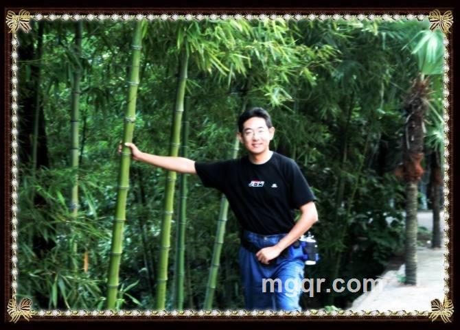 黑马钓鱼的头像