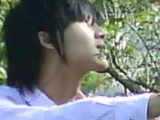 帕尔休斯的头像