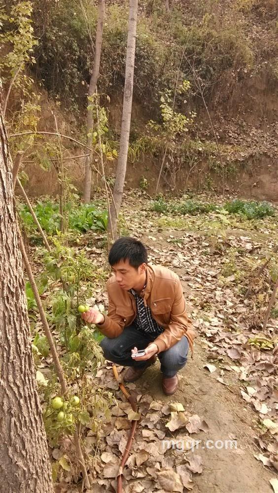阳光男孩666