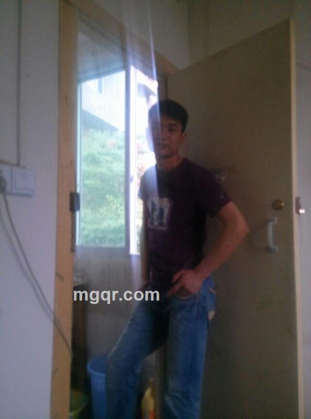 一匹饥饿的狼的头像