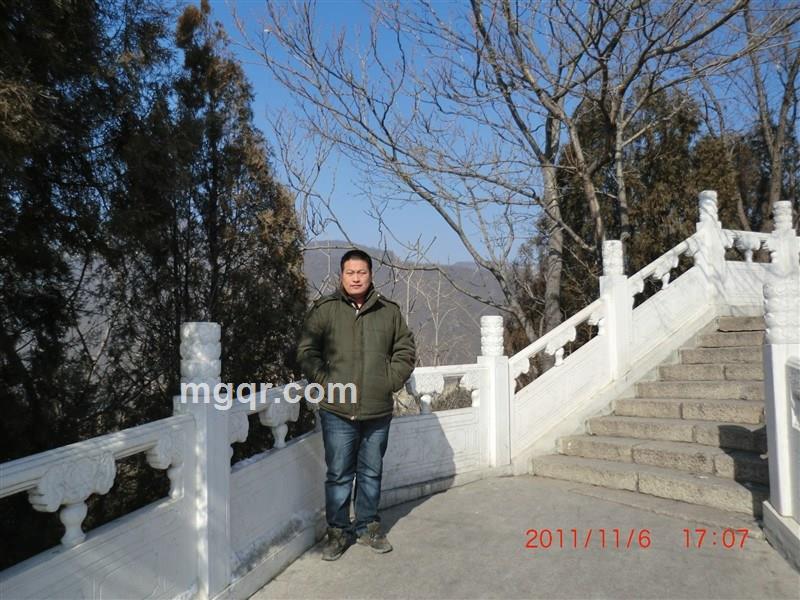 养鱼缸的头像