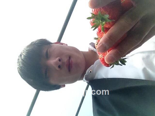 我在这里等你的头像