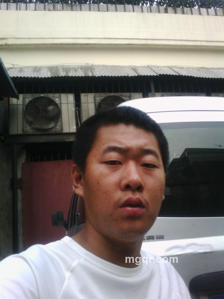 自由飞翔的头像