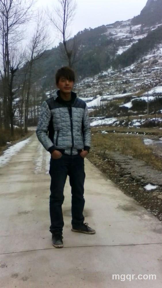 落叶随风的头像