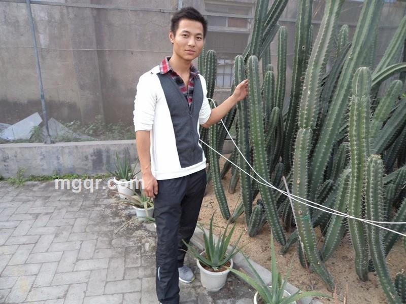 等爱的骑士的头像