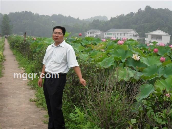 今夜让你爽歪歪的头像