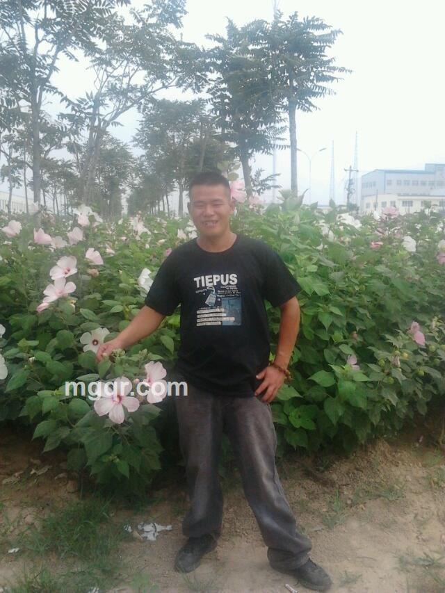 雾散试试留我屋吧的头像