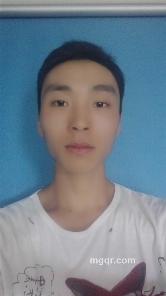 骑着毛驴去流浪的头像