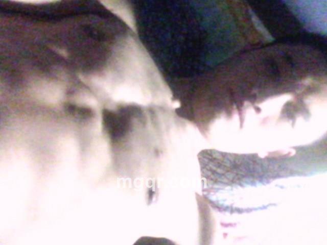 寂寞之人的头像