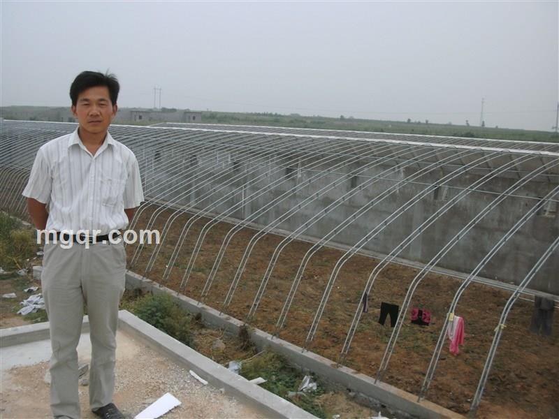 难道爱一个人有错的头像