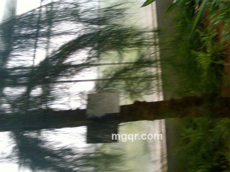 专门放炮的头像