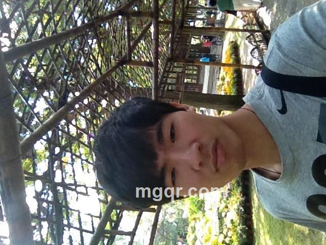 大树不倒就怕风的头像