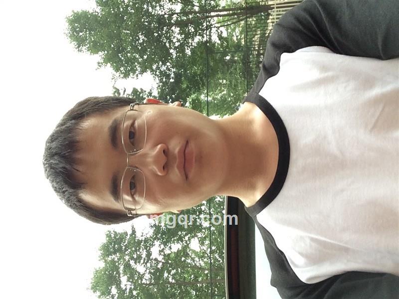 金子心的头像
