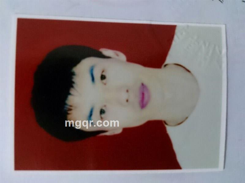 不会飞的鸟的头像