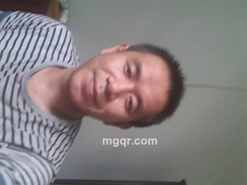 寻找一个伴侣的头像