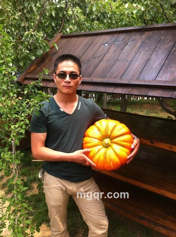 嘎嘣不逗的头像