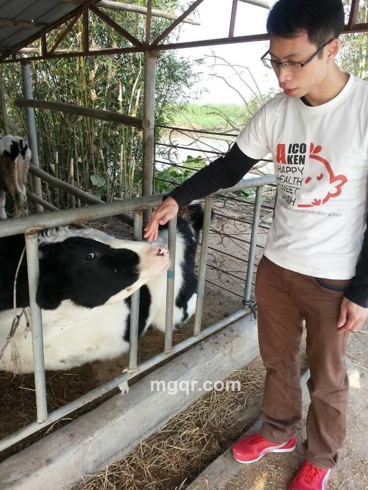 带给你快乐的头像