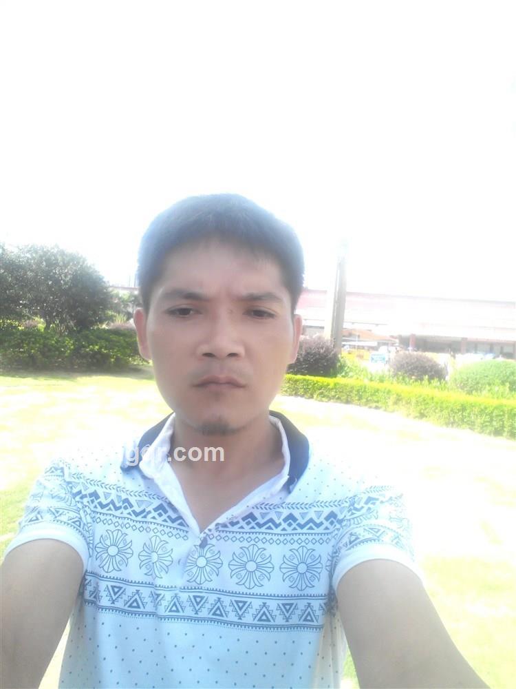 幽谷潜龙的头像