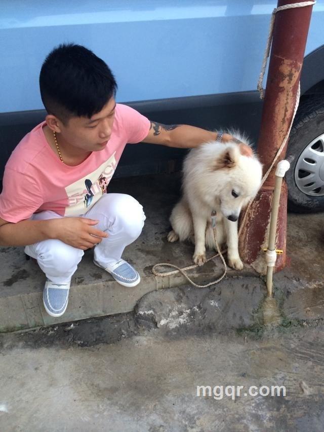 快乐的港湾1的头像