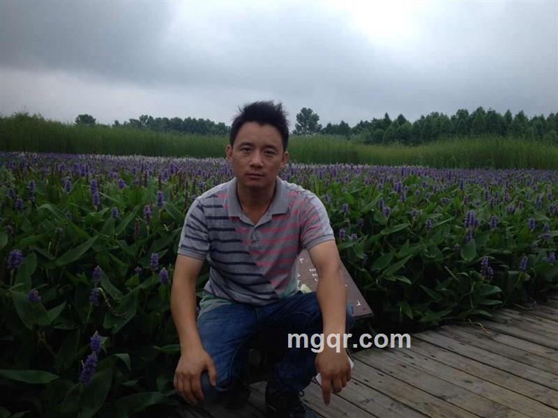 寂寞的爱的头像