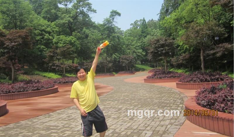 向阳花木的头像