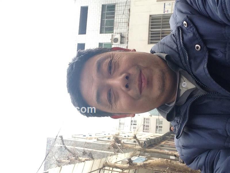 枣木板凳的头像