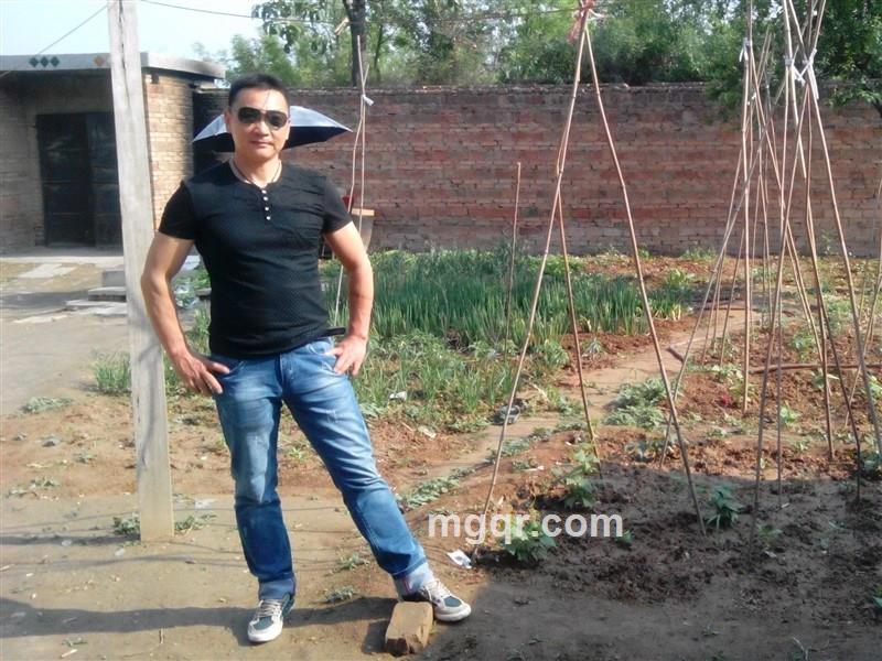 会员2947273的头像