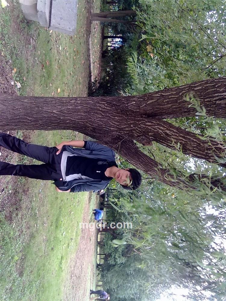 消失在人海的头像