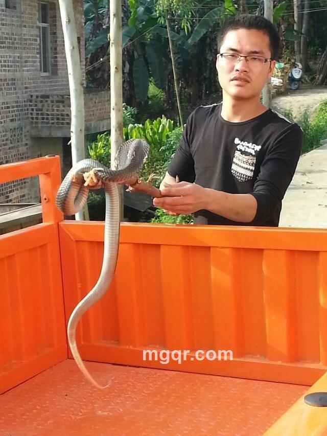 0醉后一夜0的头像