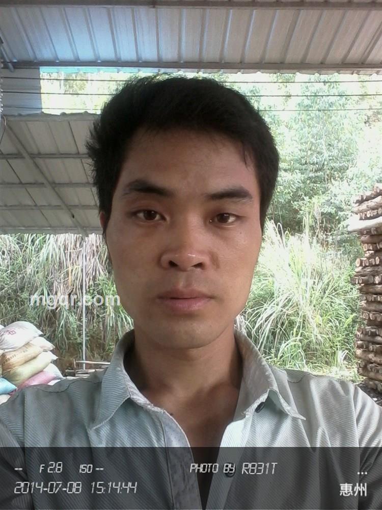 会员2953011的头像