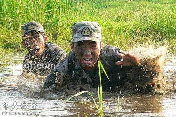 影竹风清1982的头像