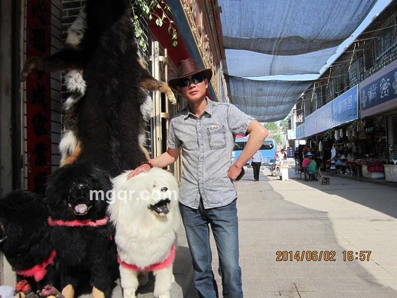 我爱雀斑的头像