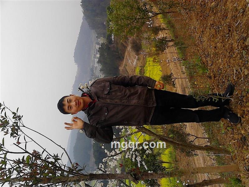 世间有缘人的头像