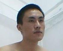 憨厚的老牛的头像