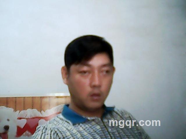 宝哥的春天的头像