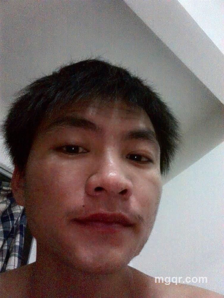 简单的熊大的头像