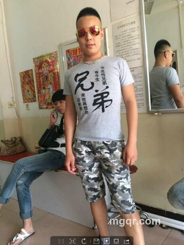 迷人的海鸥的头像
