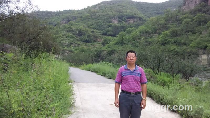 寂寞皇帝的头像