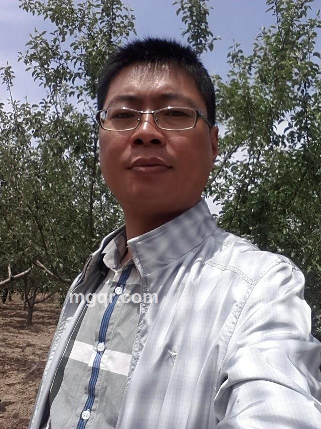 风起清平的头像