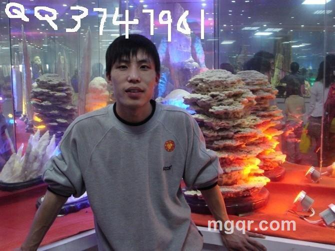 飞向云霄的头像