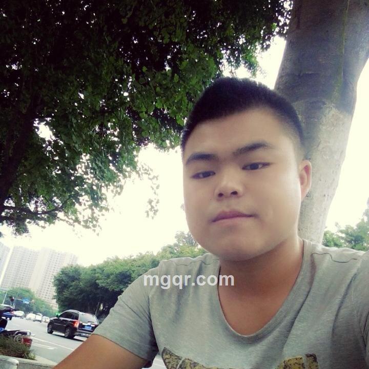 青春之路的头像