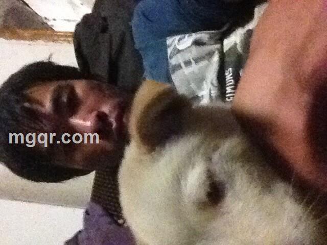 单身贵族的头像