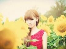  风雨可知愿？ 的头像