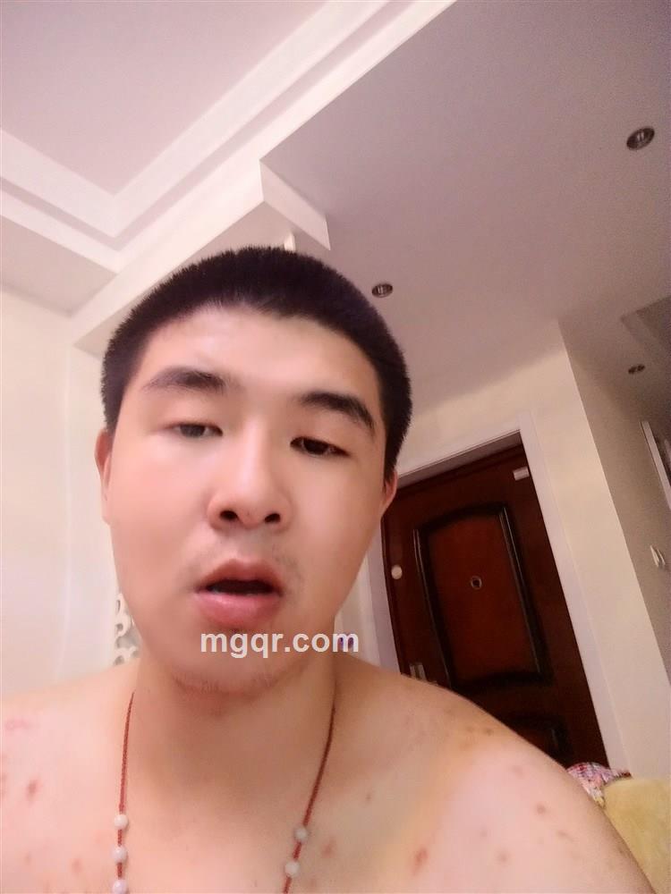 梧桐书的叶子的头像