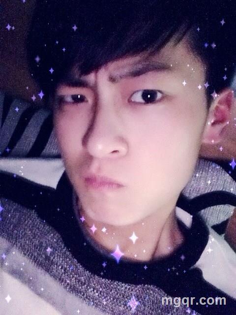 大大大大黄蜂的头像