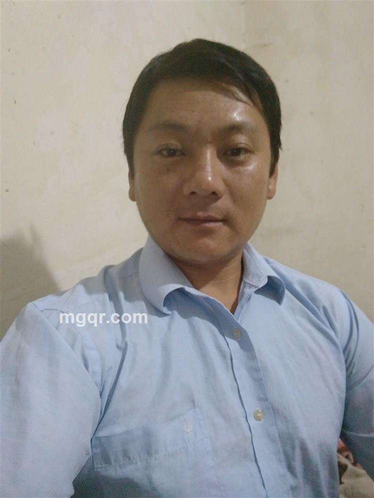 大漠胡杨的头像