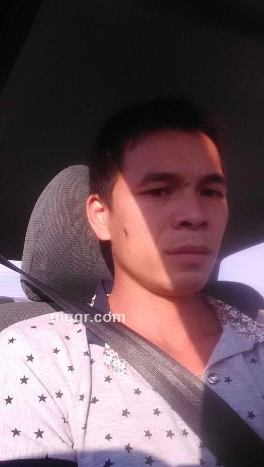 寂寞的野草的头像