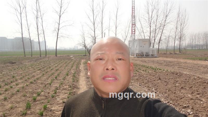 寻太极一伴的头像