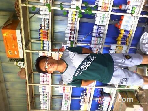 草原行雄狮的头像