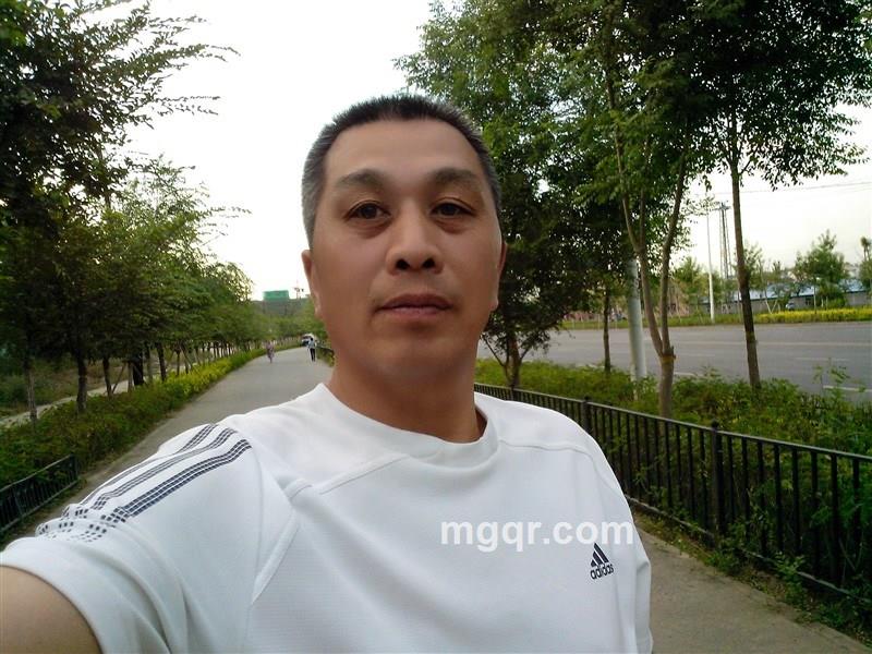 回头叶落归根的头像